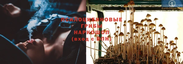 МДПВ Переславль-Залесский