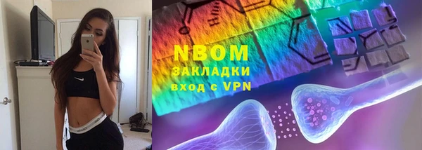 индика Бронницы
