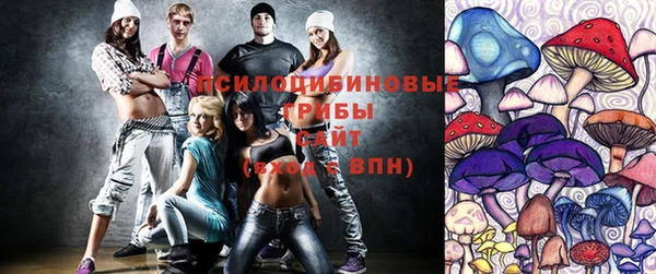 герыч Осинники