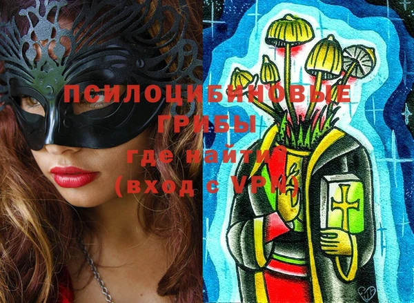 тгк Пестово