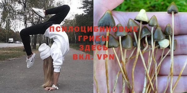 героин Пересвет