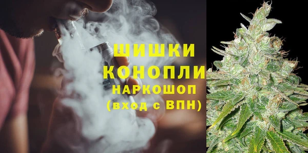 шишки Янаул
