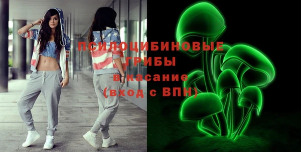 тгк Пестово