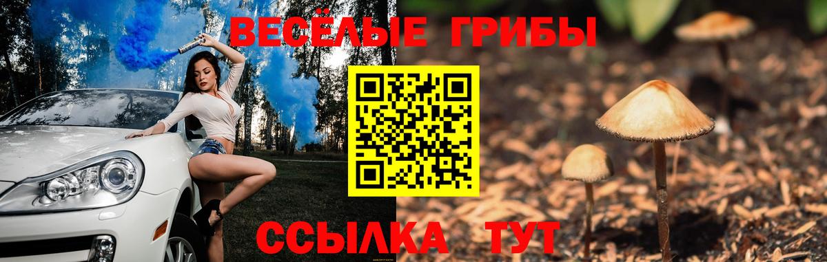 Псилоцибиновые грибы GOLDEN TEACHER  Галлюциногенные грибы GOLDEN TEACHER  Арсеньев  Вход с VPN 