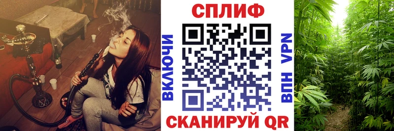 Каннабис план Арсеньев